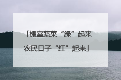 棚室蔬菜“绿”起来 农民日子“红”起来