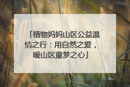 植物妈妈山区公益温情之行：用自然之爱，暖山区童梦之心