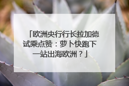 欧洲央行行长拉加德试乘点赞：萝卜快跑下一站出海欧洲？