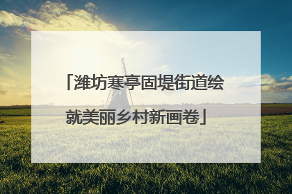 潍坊寒亭固堤街道绘就美丽乡村新画卷