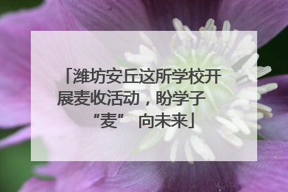 潍坊安丘这所学校开展麦收活动，盼学子 “麦” 向未来