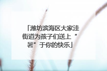 潍坊滨海区大家洼街道为孩子们送上“暑”于你的快乐