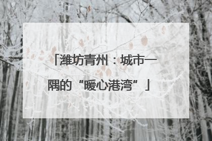 潍坊青州：城市一隅的“暖心港湾”