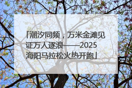 潮汐同频，万米金滩见证万人逐浪——2025海阳马拉松火热开跑