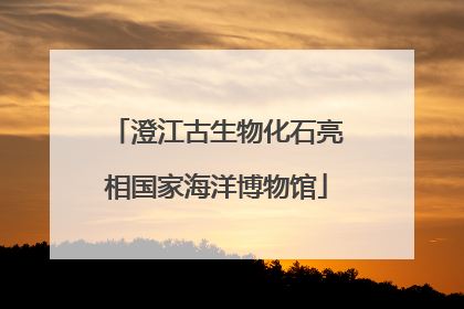 澄江古生物化石亮相国家海洋博物馆