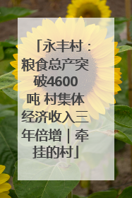 永丰村：粮食总产突破4600吨 村集体经济收入三年倍增｜牵挂的村