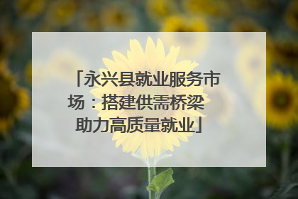 永兴县就业服务市场：搭建供需桥梁 助力高质量就业