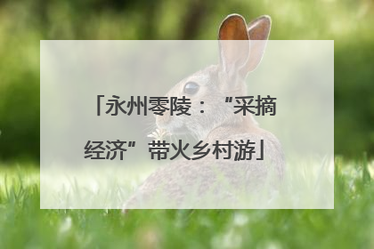 永州零陵：“采摘经济”带火乡村游
