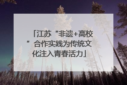 江苏“非遗+高校”合作实践为传统文化注入青春活力