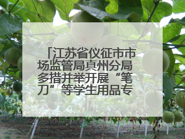 江苏省仪征市市场监管局真州分局多措并举开展“笔刀”等学生用品专项检查
