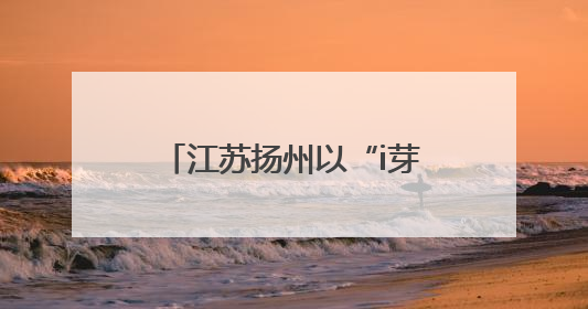 江苏扬州以“i芽护苗”之名 守护青少年网络晴空