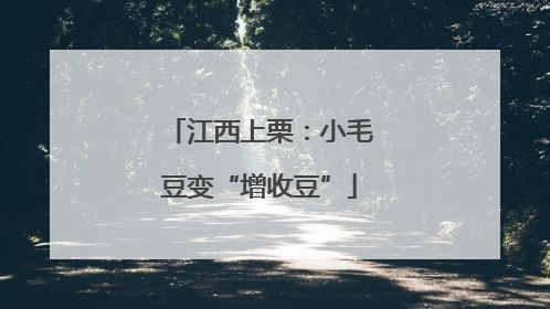 江西上栗：小毛豆变“增收豆”