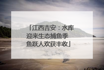江西吉安:水库迎来生态捕鱼季 鱼跃人欢获丰收