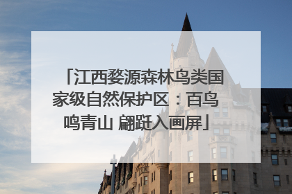 江西婺源森林鸟类国家级自然保护区：百鸟鸣青山 翩跹入画屏