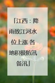 江西：降雨致江河水位上涨 各地积极防汛备汛