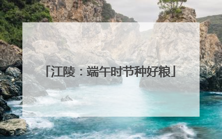 江陵：端午时节种好粮