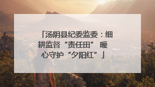 汤阴县纪委监委：细耕监督“责任田” 暖心守护“夕阳红”