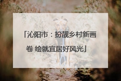 沁阳市：扮靓乡村新画卷 绘就宜居好风光