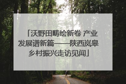 沃野田畴绘新卷 产业发展谱新篇——陕西岚皋乡村振兴走访见闻