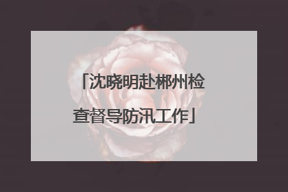 沈晓明赴郴州检查督导防汛工作