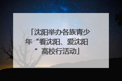 沈阳举办各族青少年“看沈阳、爱沈阳”高校行活动