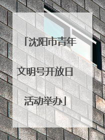 沈阳市青年文明号开放日活动举办