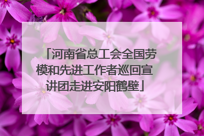 河南省总工会全国劳模和先进工作者巡回宣讲团走进安阳鹤壁