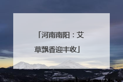 河南南阳：艾草飘香迎丰收