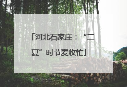 河北石家庄：“三夏”时节麦收忙