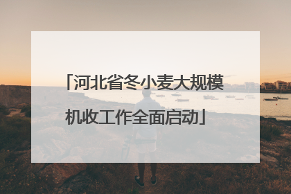 河北省冬小麦大规模机收工作全面启动