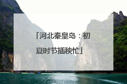 河北秦皇岛：初夏时节插秧忙