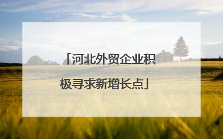 河北外贸企业积极寻求新增长点
