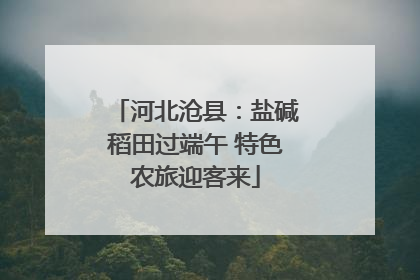 河北沧县：盐碱稻田过端午 特色农旅迎客来
