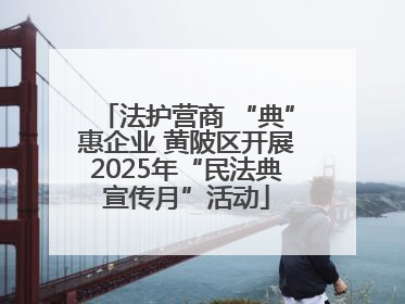 法护营商 “典”惠企业 黄陂区开展2025年“民法典宣传月”活动