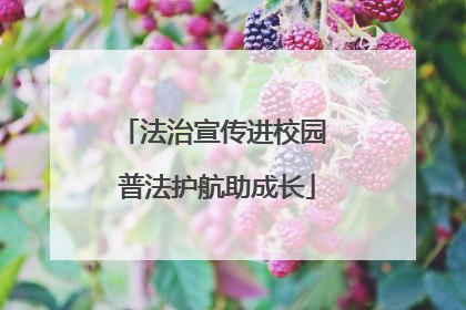 法治宣传进校园 普法护航助成长