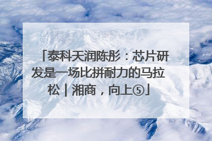 泰科天润陈彤：芯片研发是一场比拼耐力的马拉松｜湘商，向上⑤