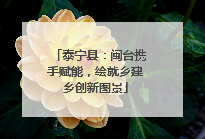 泰宁县：闽台携手赋能，绘就乡建乡创新图景