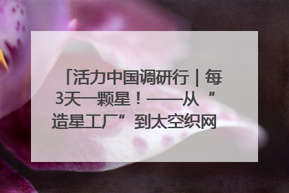 活力中国调研行｜每3天一颗星！——从“造星工厂”到太空织网的“银河速度”