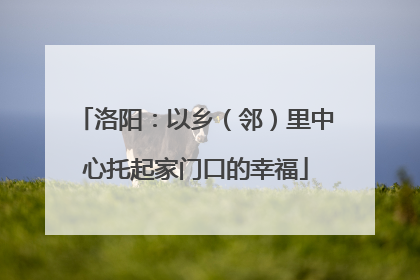 洛阳：以乡（邻）里中心托起家门口的幸福