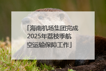 海南机场集团完成2025年荔枝季航空运输保障工作