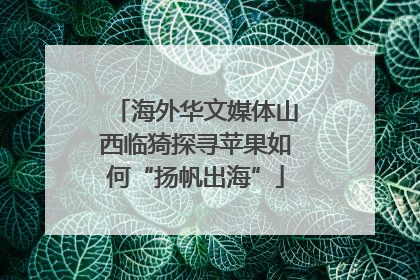 海外华文媒体山西临猗探寻苹果如何“扬帆出海”