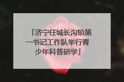 济宁任城长沟镇第一书记工作队举行青少年科普研学