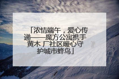 浓情端午，爱心传递——魔方公寓携手黄木 厂社区暖心守护城市蜂鸟