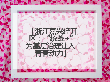 浙江嘉兴经开区：“统战+”为基层治理注入青春动力