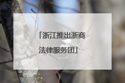 浙江推出浙商法律服务团