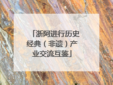 浙阿进行历史经典（非遗）产业交流互鉴
