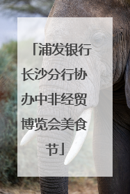 浦发银行长沙分行协办中非经贸博览会美食节