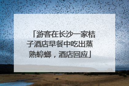 游客在长沙一家桔子酒店早餐中吃出蒸熟蟑螂，酒店回应