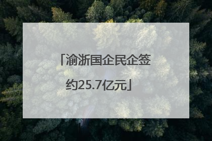 渝浙国企民企签约25.7亿元