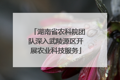 湖南省农科院团队深入武陵源区开展农业科技服务